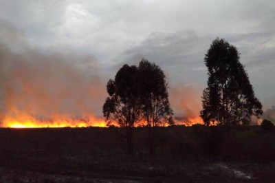 Incêndio destrói 48 hectares no Parque Estadual da Vila Velha