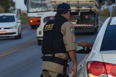 PRF: apreensão de drogas é recorde no Paraná em 2019