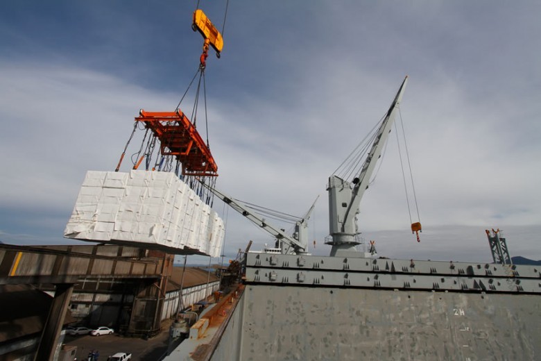 A soja bateu recorde, aumentaram as vendas de automóveis para a Argentina e, com a Klabin, o Paraná passou a ser exportador de celulose