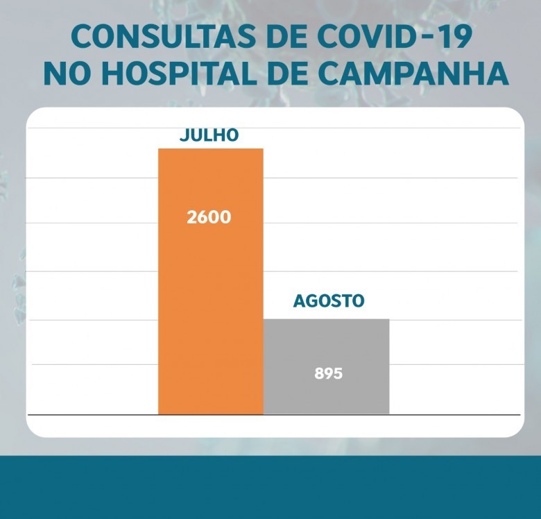 CONFIRA OS GRÁFICOS