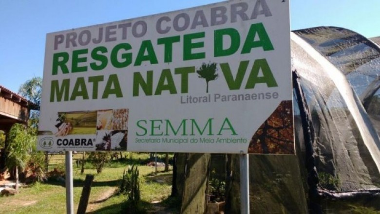 Paranaguá no combate ao Aedes Aegypti: Plantas estão sendo cultivadas pela Prefeitura para doação à população
