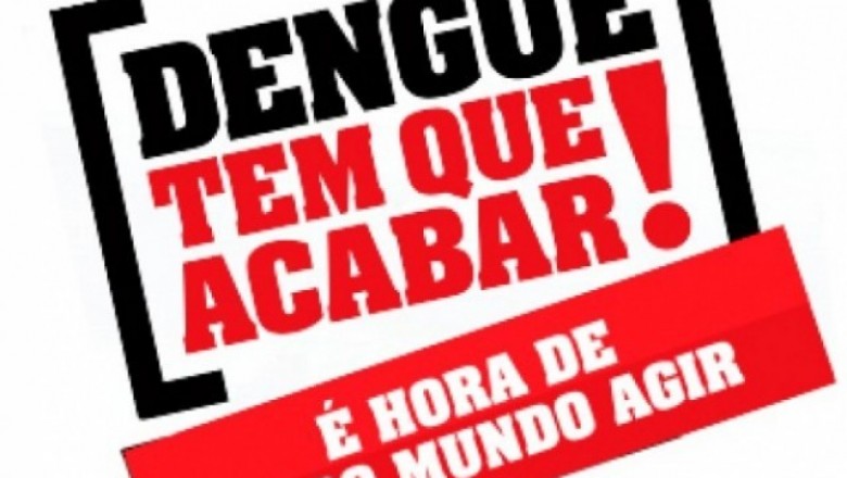 Perguntas e respostas sobre o Aedes aegypti
