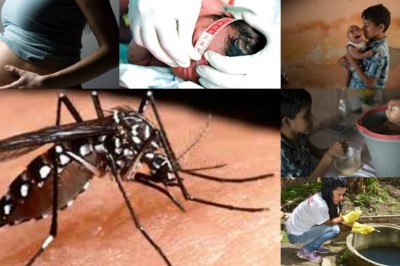 Paraná: Secretaria da Saúde divulga novo boletim da dengue, zika e chikungunya