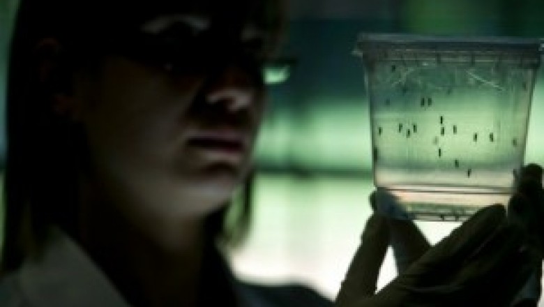 Empresa Forrest Innovations e comissão popular se reúnem para discutirem o projeto do mosquito biologicamente modificado