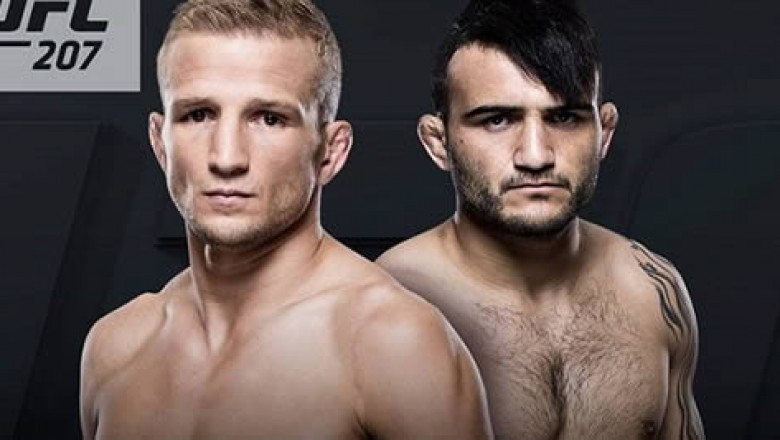 30 de Dezembro ser&aacute; o dia D