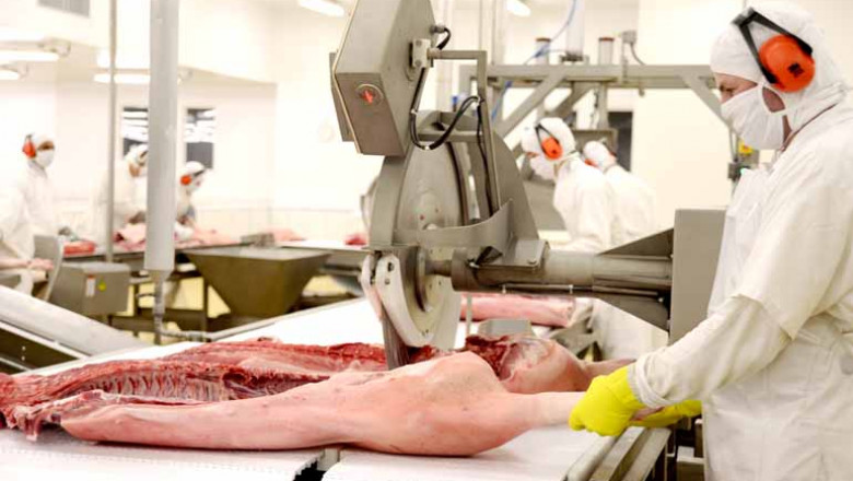 Paraná terá o maior frigorífico de suínos da América Latina e R$ 2,7 bi serão investidos