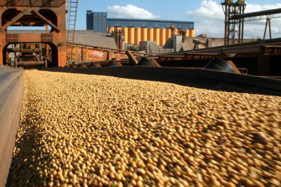 Aumenta participação do agronegócio nas exportações paranaenses