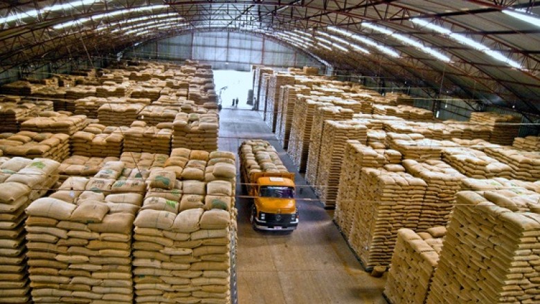 Soja fecha estável em Chicago e, com dólar abaixo de R$ 3,10, porto de Paranaguá vai a R$ 69 por saca nesta 2ª feira