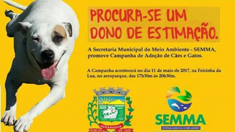 Feira de adoção de animais acontece nesta quinta-feira em Paranaguá