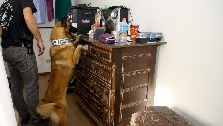 Quadrilha especializada em tráfico de drogas sintéticas é alvo de operação da Denarc no Paraná e em Santa Catarina