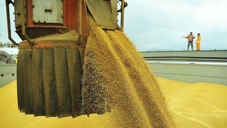 Movimentação de grãos no Corredor de Exportação aumenta 22% em junho