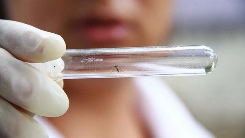 Casos de dengue caem 98% no Paraná