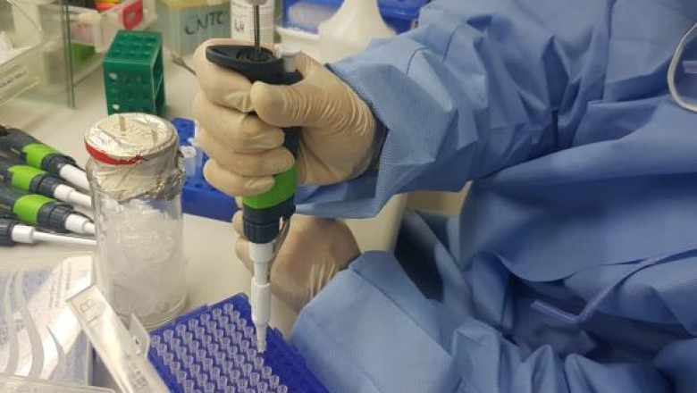 Inibidor do vírus Zika deve levar 10 anos para ser produzido em larga escala