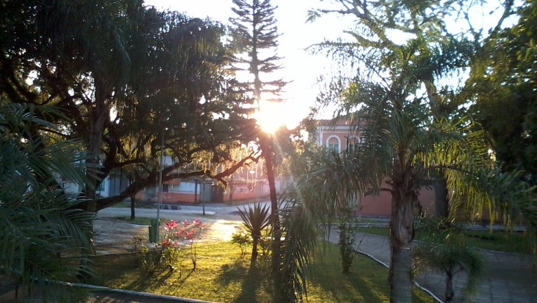 Corta e poda: Dentro da lei, Prefeitura de Paranaguá intervém árvores em risco de queda