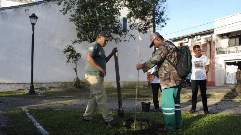 Mudas de plantas são roubadas em Paranaguá