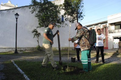 Mudas de plantas são roubadas em Paranaguá
