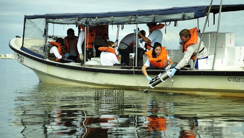 Portos apresentam resultados do monitoramento marinho