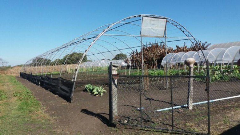 Trabalhadores agrícolas contarão com oportunidade de curso de Olericultura em Paranaguá