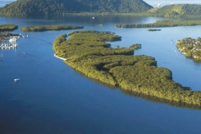 13.ª Semana do Meio Ambiente será realizada de 4 a 9 de junho em Paranaguá 