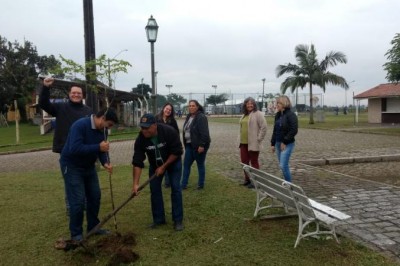 Árvores são plantadas em comemoração ao Dia Mundial do Meio Ambiente em Paranaguá