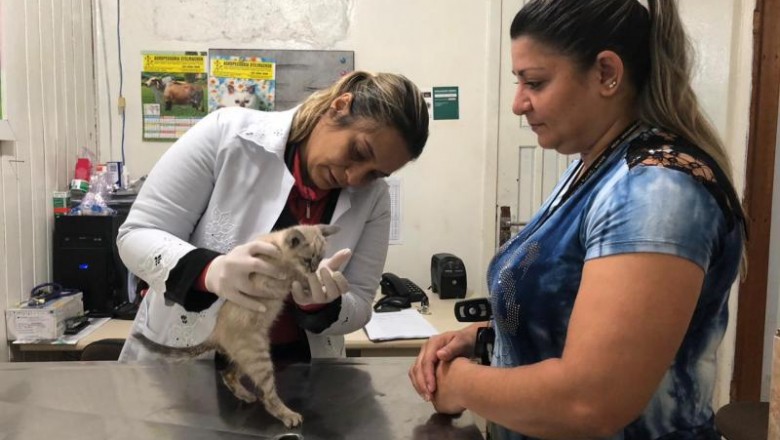 Atendimento veterinário está com novo horário de funcionamento