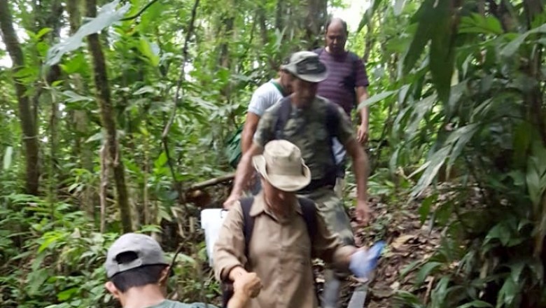 Saúde investiga morte de macacos no Litoral do Paraná 