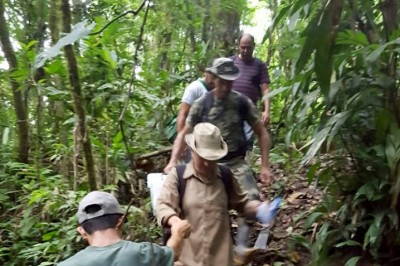 Saúde investiga morte de macacos no Litoral do Paraná 