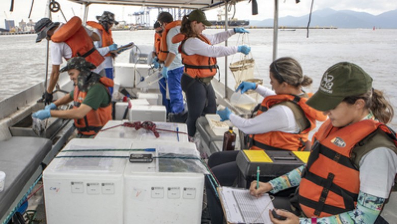 Portos do Paraná monitoram a água, sedimentos e biota aquática