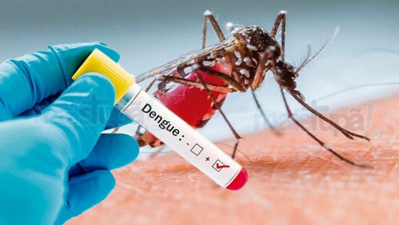 Boletim confirma mais três mortes por dengue em todo o Paraná