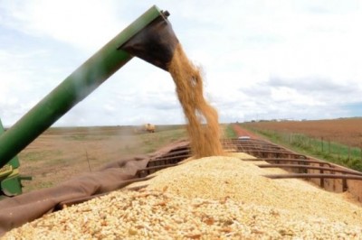 Safra 2018/2019 deve chegar a 238,9 milhões de toneladas de grãos