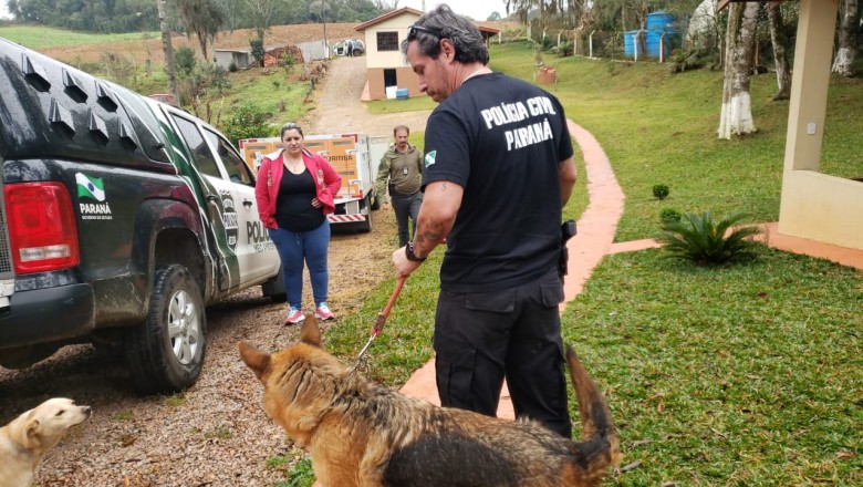PCPR cumpre mandados contra rede de petshops envolvida em golpes e maus-tratos na Capital