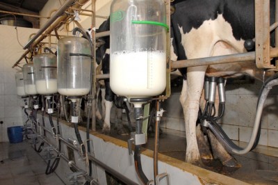 Paraná é o segundo maior produtor de leite do Brasil, confirma IBGE