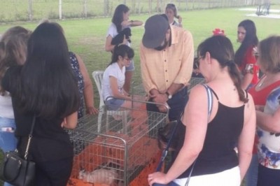 Secretaria de Meio Ambiente e ONG Amigos Protetores realizam feira de adoção de cães e gatos