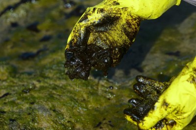 Manchas de óleo aparecem no Delta do Parnaíba, litoral do Piauí