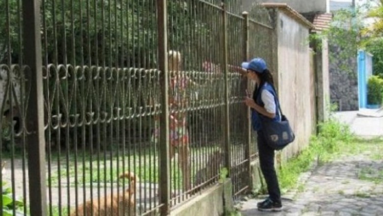 Prefeitura de Paranaguá realiza ação conjunta para identificação e remoção de criadouros do Aedes Aegypti