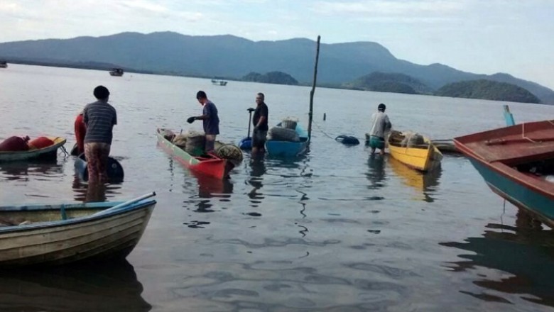 Caixa começa a pagar auxílio emergencial a pescador na próxima segunda