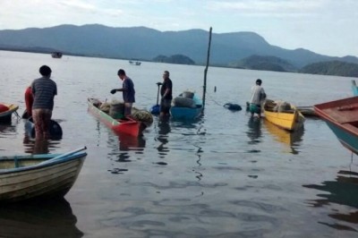 Caixa começa a pagar auxílio emergencial a pescador na próxima segunda