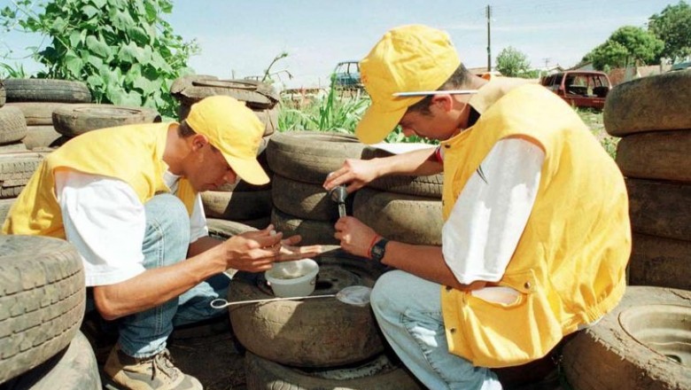331 municípios do Paraná registram infestação predial da dengue