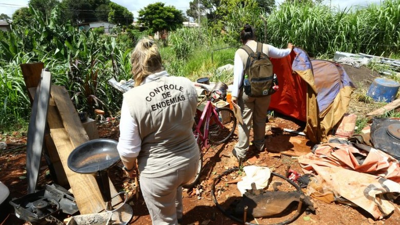 Paraná confirma mais de 9 mil casos de dengue em uma semana
