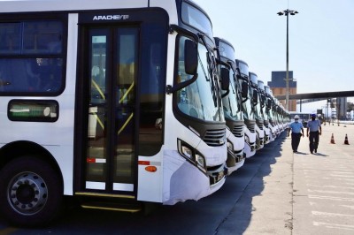 Porto de Paranaguá embarca mais 157 ônibus em único lote e bate novo recorde