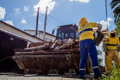 Serviços de roçada e retirada de entulhos é intensificada em Paranaguá