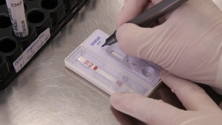 Teste rápido de dengue não deve ser usado como diagnóstico definitivo do paciente