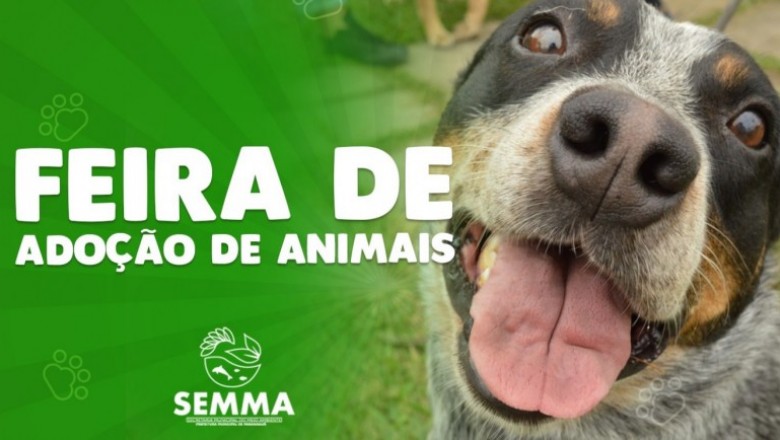 Dia Mundial do Meio Ambiente terá feira de adoção no Aeroparque