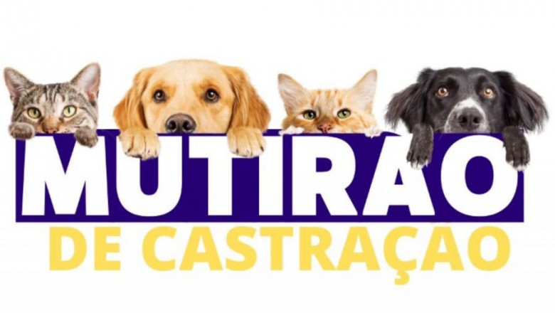 Secretaria do Meio Ambiente de Paranaguá promove mutirão de castração