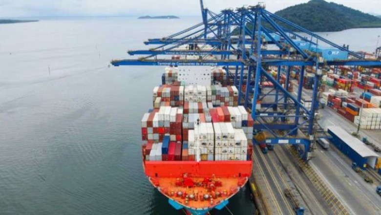 Em 6 meses, exportação de frango congelado ultrapassa 46 mil contêineres na TCP