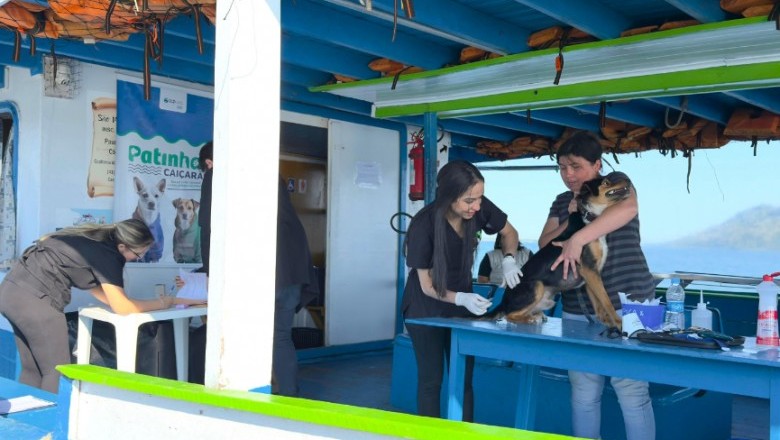 Veterinário a bordo: Patinhas Caiçaras atende mais de 20 animais de estimação em Piaçaguera