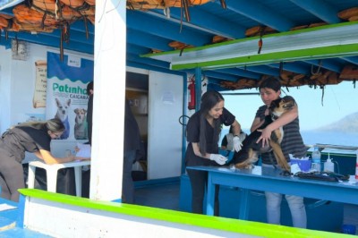 Veterinário a bordo: Patinhas Caiçaras atende mais de 20 animais de estimação em Piaçaguera