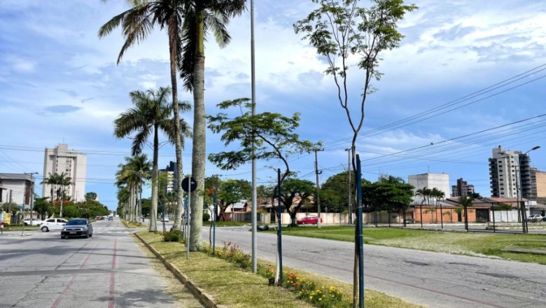 TCP realiza plantio de mais de 600 &aacute;rvores nativas em bairros de Paranagu&aacute;