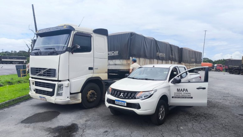 Mapa identifica fraude em carga de soja destinada &agrave; exporta&ccedil;&atilde;o no Porto de Paranagu&aacute;