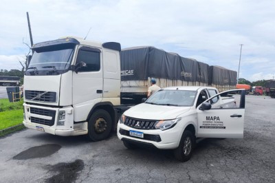 Mapa identifica fraude em carga de soja destinada &agrave; exporta&ccedil;&atilde;o no Porto de Paranagu&aacute;